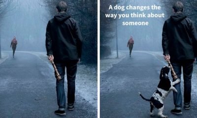 Ad Campaigns Show How A Dog Can Change A Person’s Life