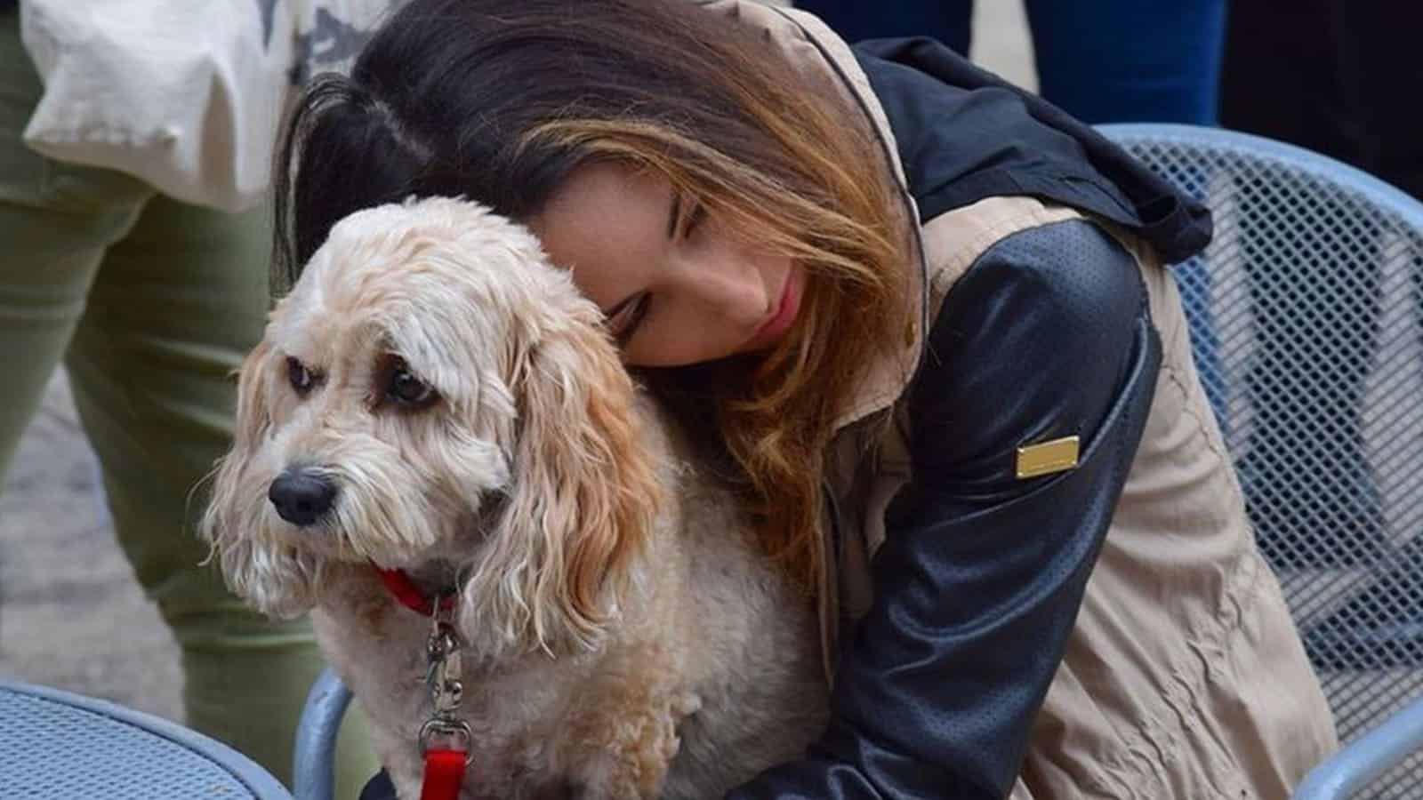Losing A Dog Can Be As Hard As Losing A Loved One, Researchers Say