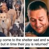Guy Took In Pups No One Wanted, Runs A Shelter With 750 Dogs