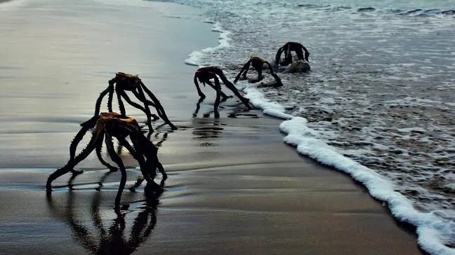 Beach aliens pictures spread panic, raises environmental issues awareness.